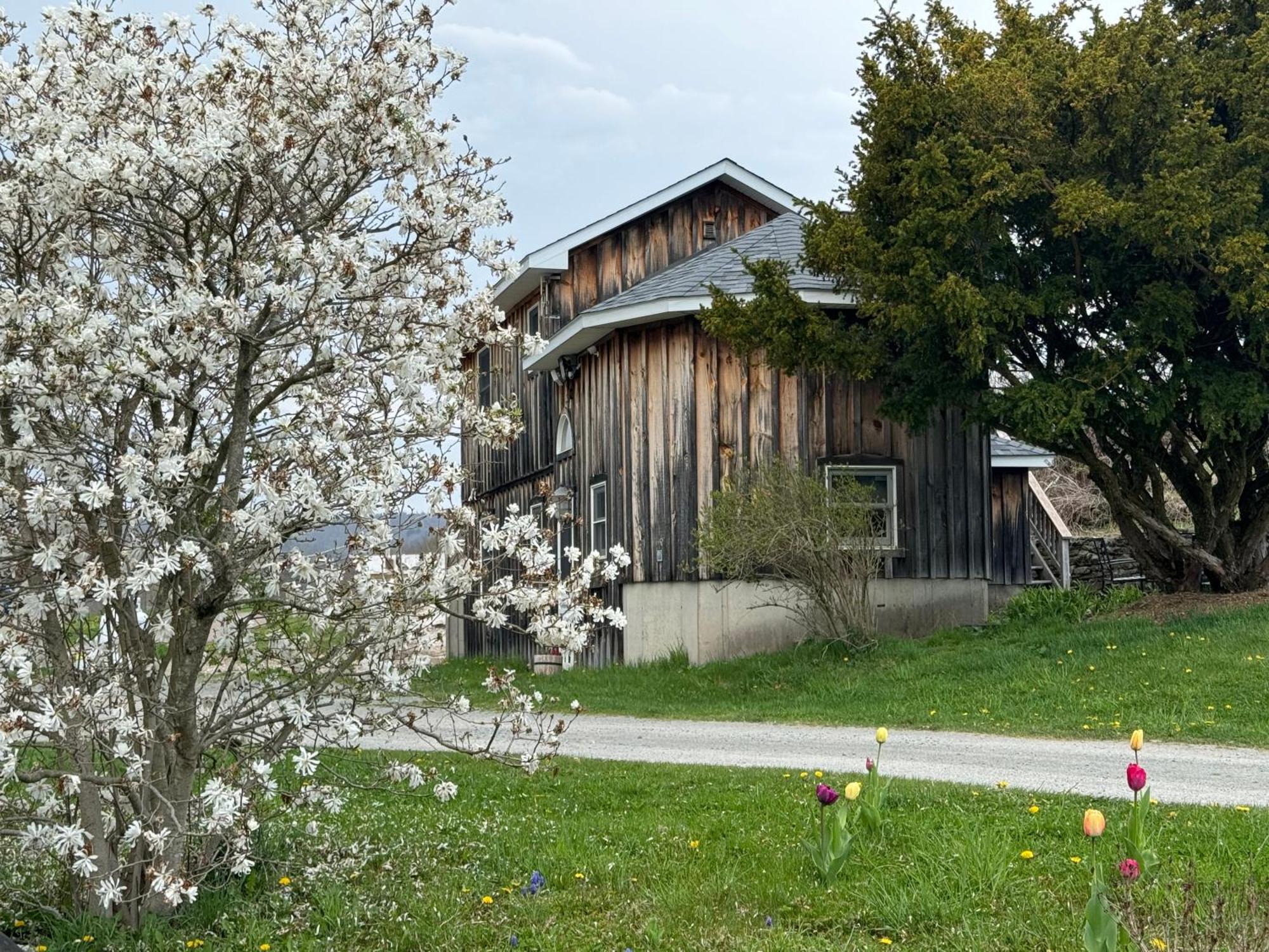 Idea Farm Hotel Callicoon Center Exterior photo